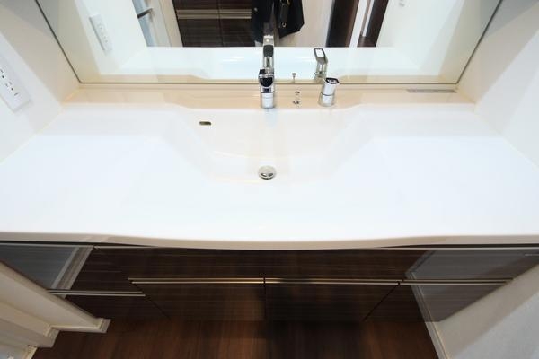 ダイアパレス笹口けやき通りNEXT