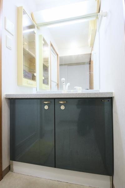 ダイアパレス笹口3丁目