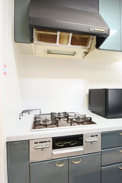 ダイアパレス笹口3丁目