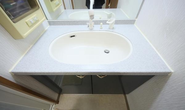 ダイアパレス笹口3丁目