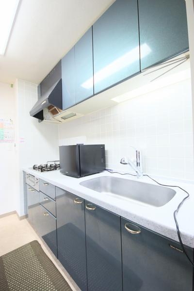 ダイアパレス笹口3丁目