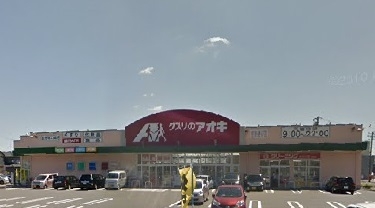 新潟市東区船江町１丁目の土地(クスリのアオキ空港通り店)