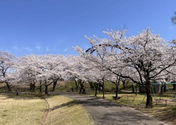 長岡市三和町第1　1号棟　全1棟(今宮公園)