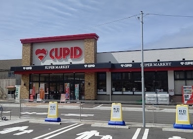 新潟市西区松海が丘３丁目の新築一戸建(キューピット真砂店)
