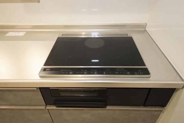 長岡市城岡3丁目1号棟　新築戸建