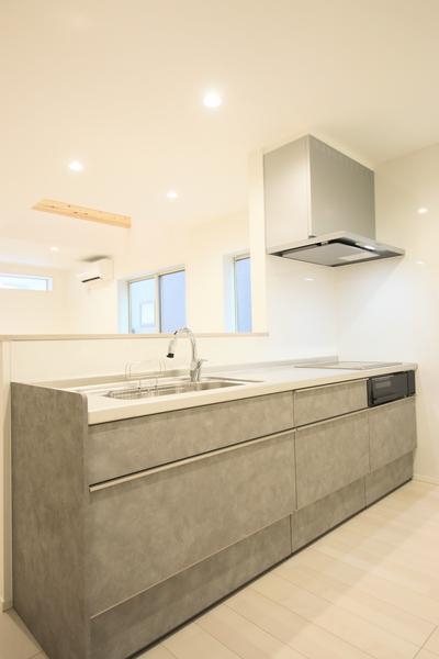長岡市城岡3丁目1号棟　新築戸建