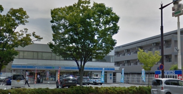 駅南ハイツ(ローソン新潟駅南店)