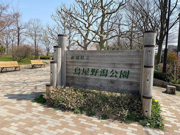 江南区曽川　１号棟　新築戸建(鳥屋野潟公園)