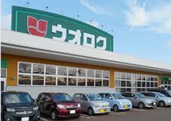 いろどりアイタウン三条市新光町　1号棟　全1棟(ウオロク興野店)