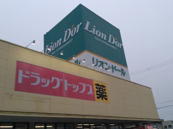 クレイドルガーデン加茂市高須町第1　1号棟(全1棟)(リオン・ドール加茂店)