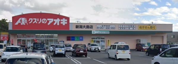 新潟市中央区親松の中古一戸建て(クスリのアオキ新潟大島店)