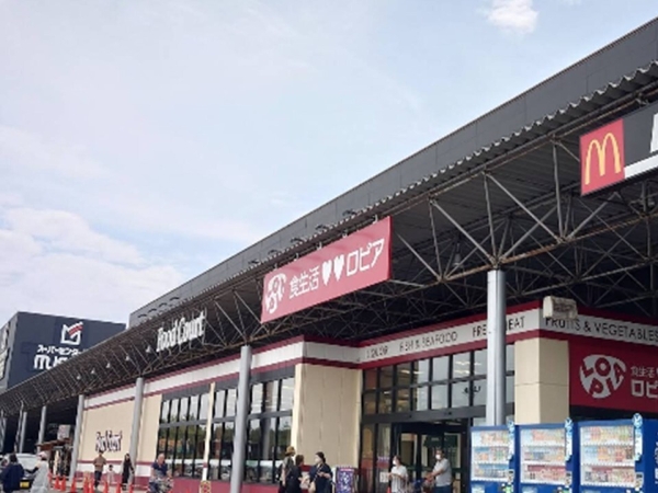 中央区長潟3丁目II　A棟　新築戸建(ロピア　ムサシ新潟店)