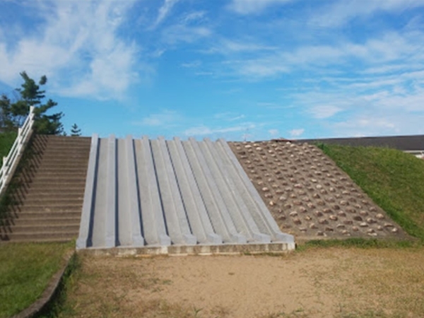 新潟市東区新川町の中古一戸建て(津島屋公園)