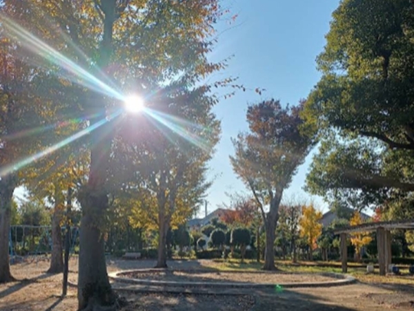 東区下木戸第3　1号棟　(全2棟)(中木戸公園)