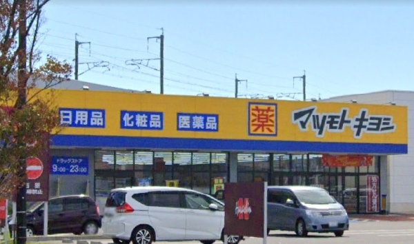 新潟市中央区鳥屋野１丁目の土地(マツモトキヨシ女池店)