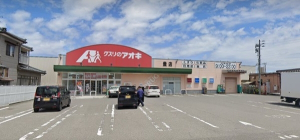 新潟市東区大形本町２丁目の土地(クスリのアオキ豊店)