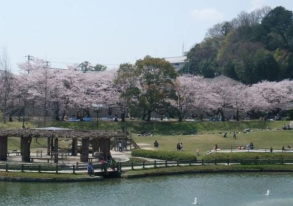 岩国市室の木町４丁目の土地(長山公園)