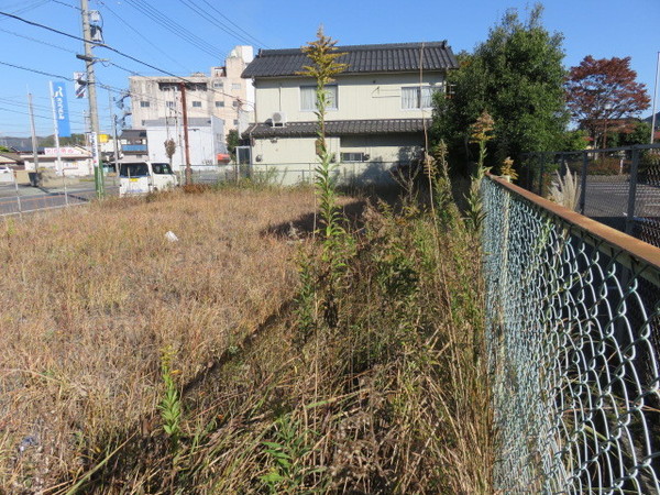 美祢市大嶺町東分の土地