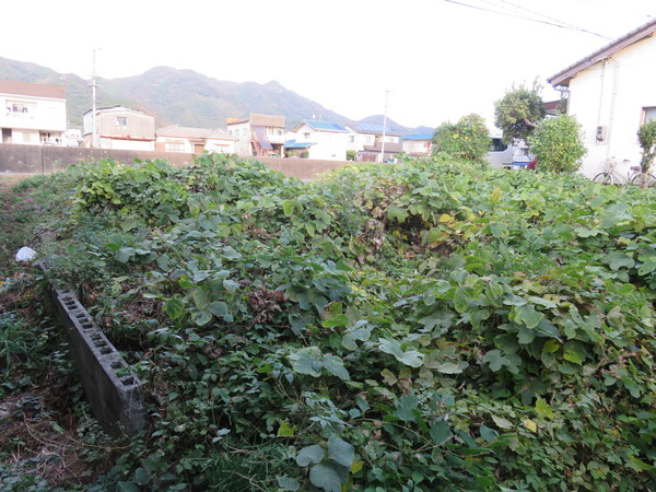 柳井市南浜１丁目の土地