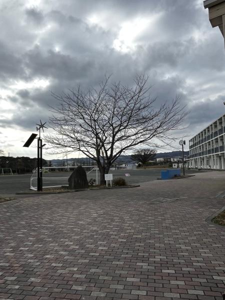 日立市東成沢町２丁目の土地