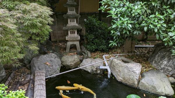 さいたま市南区大谷場１丁目の中古一戸建て