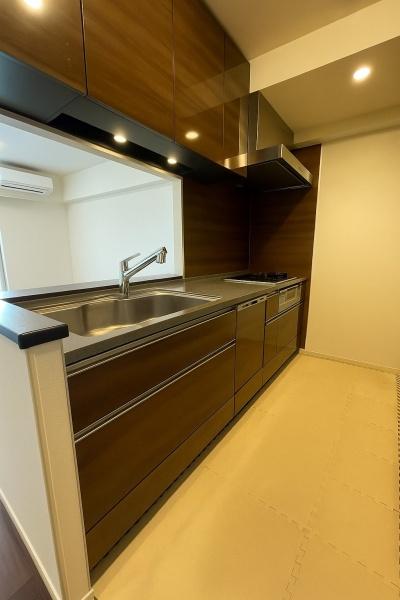 ザ・ライオンズ三郷中央