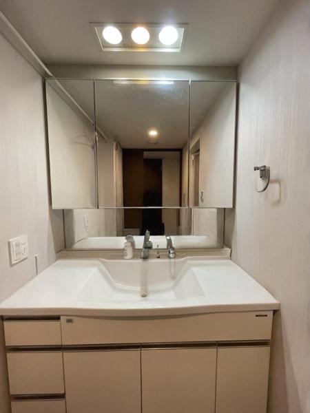 ザ・ライオンズ三郷中央