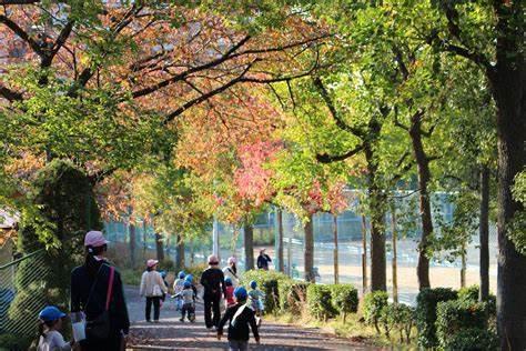 堺市南区赤坂台4丁の土地(赤坂公園)