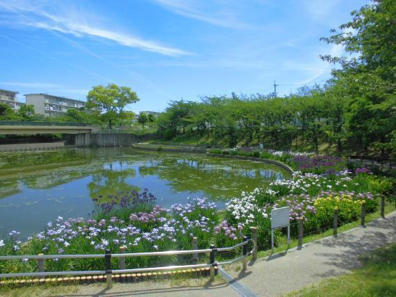 堺市東区野尻町の中古一戸建て(白鷺公園)
