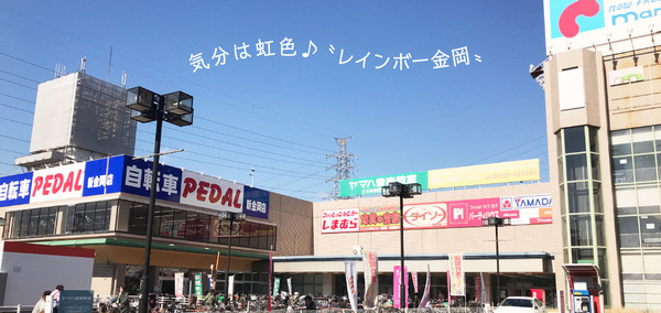 堺市北区大豆塚町2丁の中古一戸建て(ドラッグストアサーバレインボー金岡店)