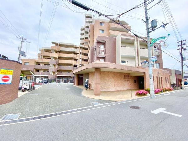 ネバーランド松原