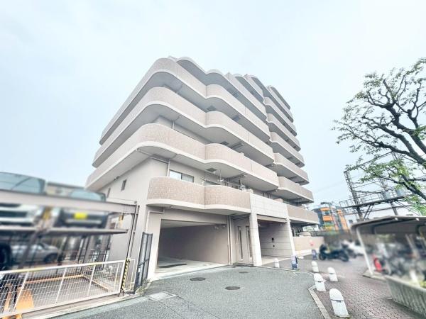 ディオフェルティ白鷺
