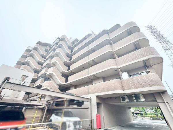 ディオフェルティ白鷺