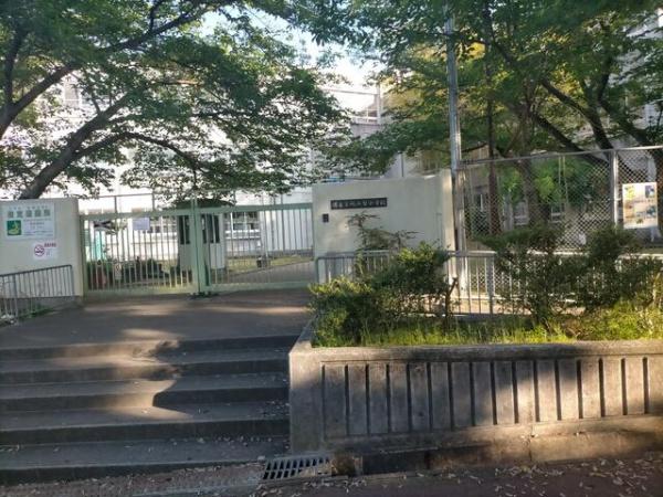 堺・泉北光明池城山公園シンシア(堺市立城山台小学校)