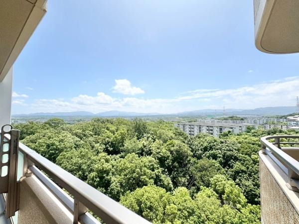 堺・泉北光明池城山公園シンシア