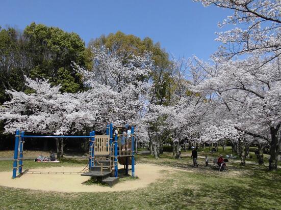 堺市南区御池台1丁の中古一戸建て(御池公園)