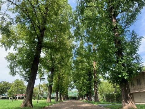 シャトー川庄(三宝公園)