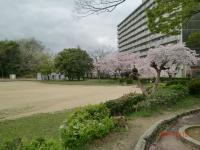 泉ヶ丘コープラスA棟3-3(三原公園)