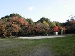 堺市中区深阪６丁の新築一戸建(宮山公園)