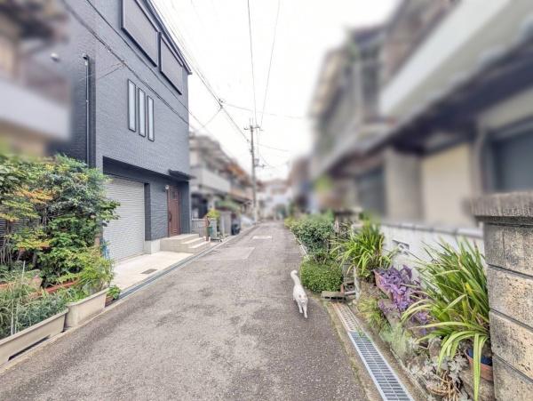 松原市三宅中3丁目の中古一戸建て(前面道路含む現地写真)