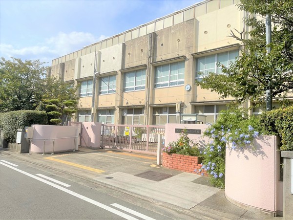 藤和浜寺公園ホームズ駅前通り(堺市立浜寺昭和小学校)