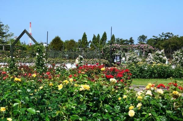ベルク浜寺公園(浜寺公園)