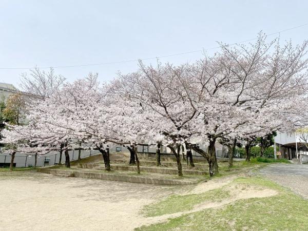 堺市南区檜尾の中古一戸建て(伏屋新池公園)