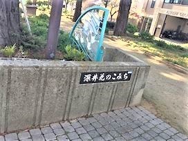 イトーピア泉北深井(深井花のこみち)