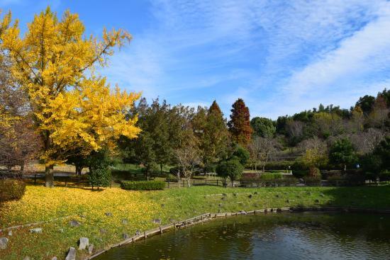 和泉市幸２丁目(旭公園)
