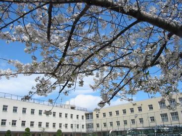 今里パークマンション(大阪市立片江小学校)