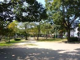 【マイシティおおさか５番館】(大物川緑地)