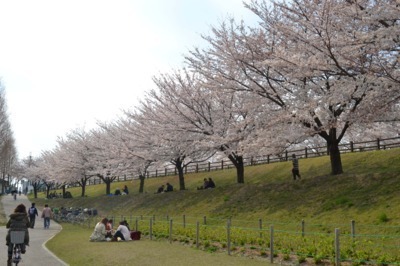 四條畷市清滝新町の新築一戸建(打上公園)