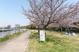 豊中市島江町２丁目の新築一戸建(旧猪名川緑地)