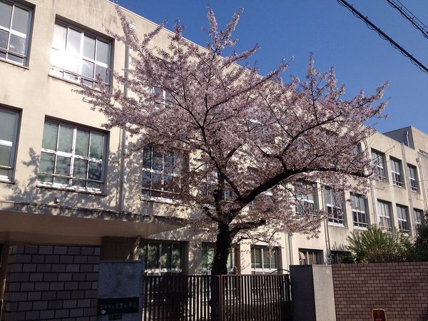 大阪市東淀川区豊里６丁目の中古一戸建て(大阪市立豊里小学校)